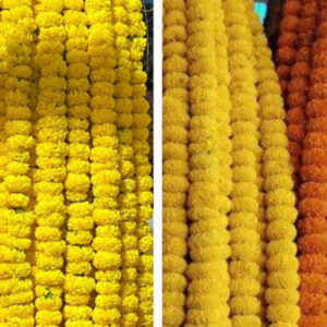 Marigold Garland Orange