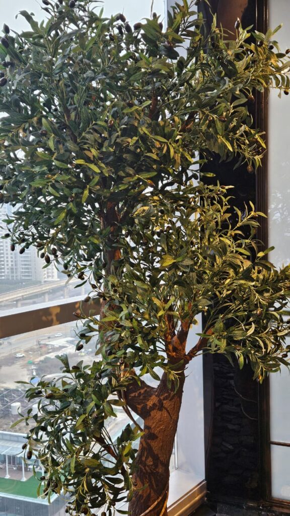 Olive Tree Decor