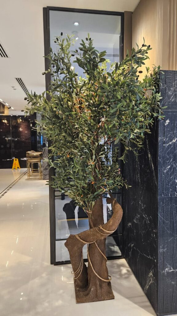 Olive Tree Decor