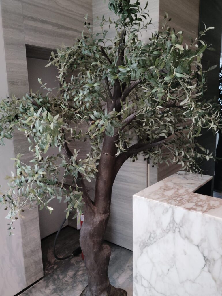 Olive Tree Decor