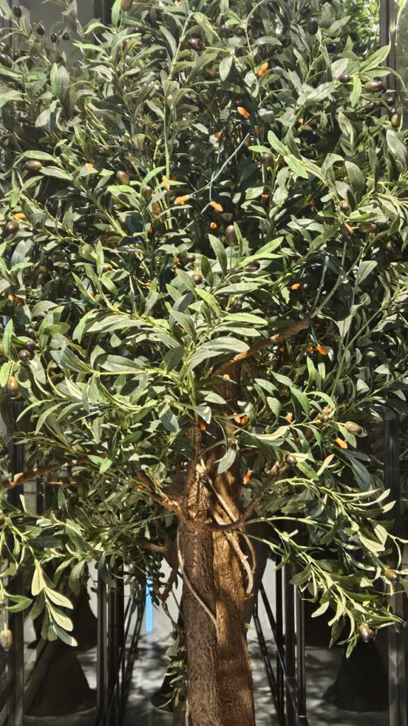 Olive Tree Decor