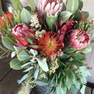 Protea Yard