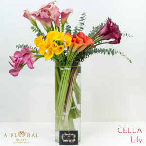 Cella Lily