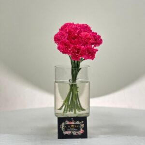 Carnation