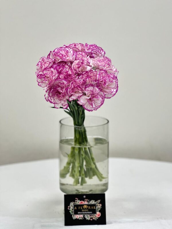 Carnation