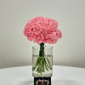 Carnation