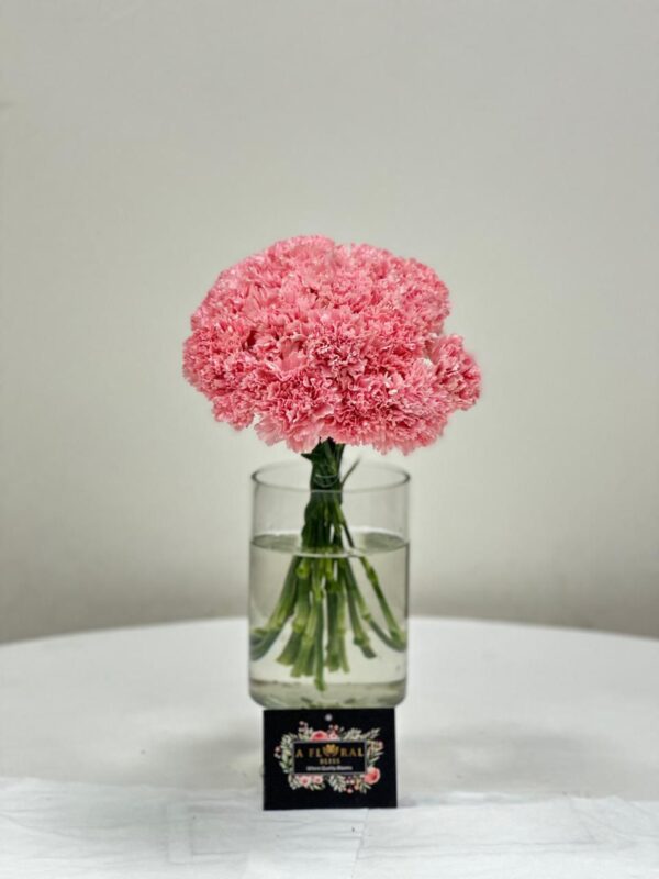 Carnation